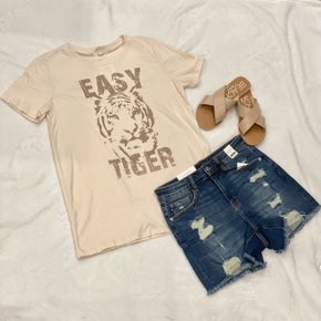 Rockstar Distressed Shorts